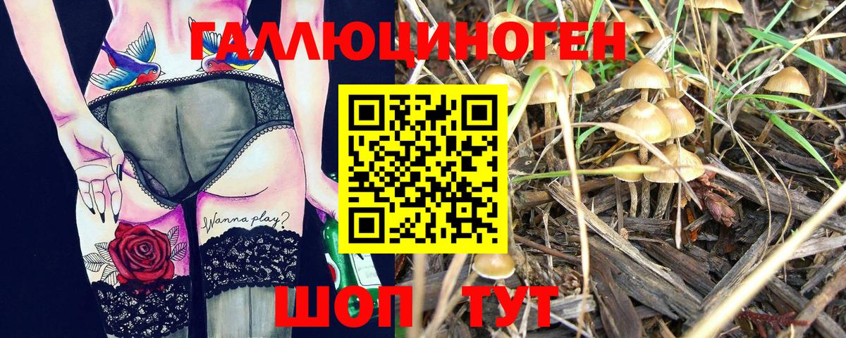Галлюциногенные грибы ЛСД Тайшет